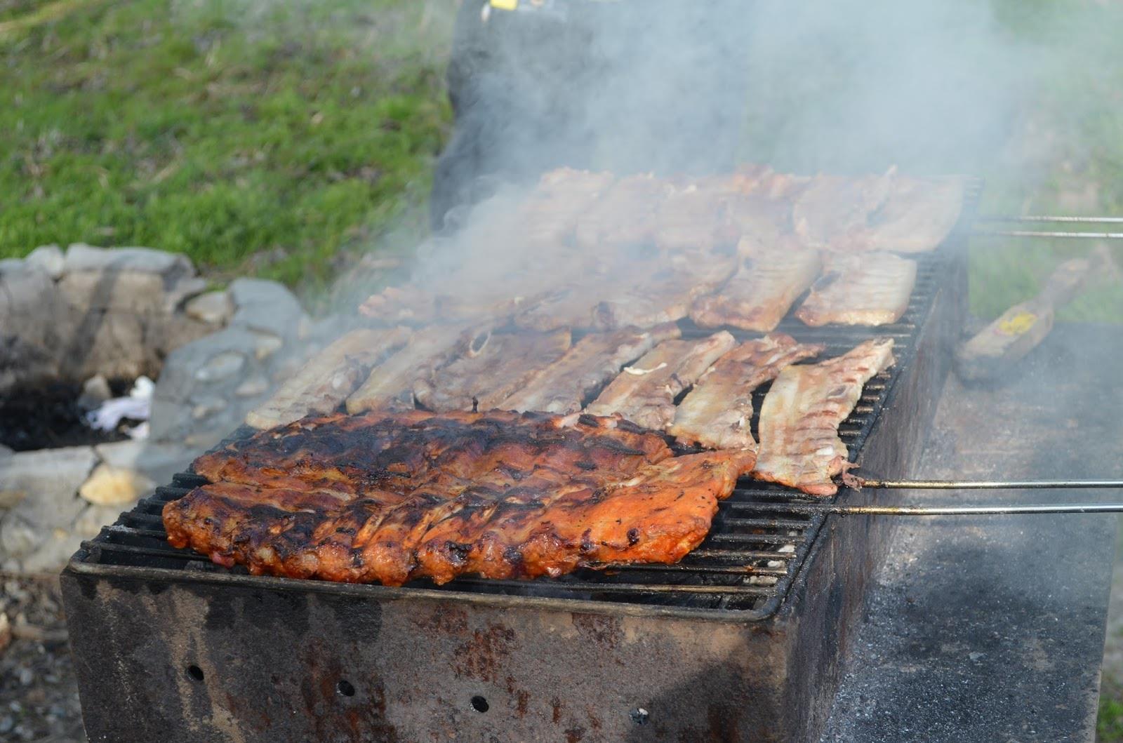 Teslui 2014 - part 1 - image.jpg